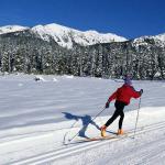 Толкование сонника: к чему снятся лыжи Что значит кататься на лыжах во сне